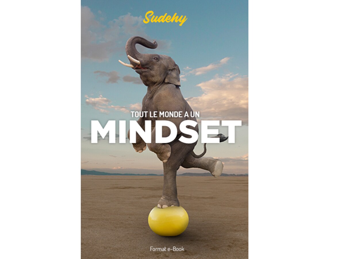 Tout le monde a un Mindset